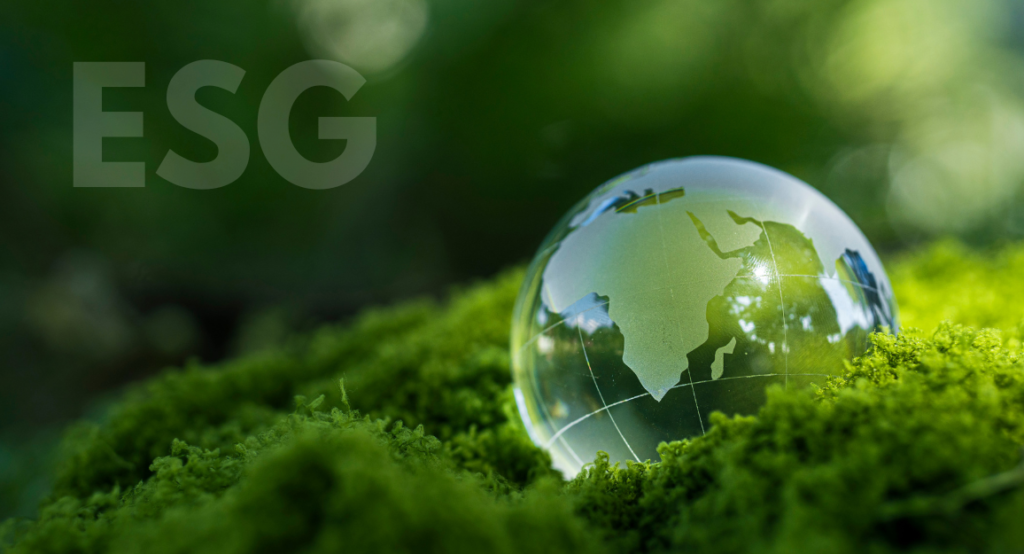 San Fansico 19 Lextalk