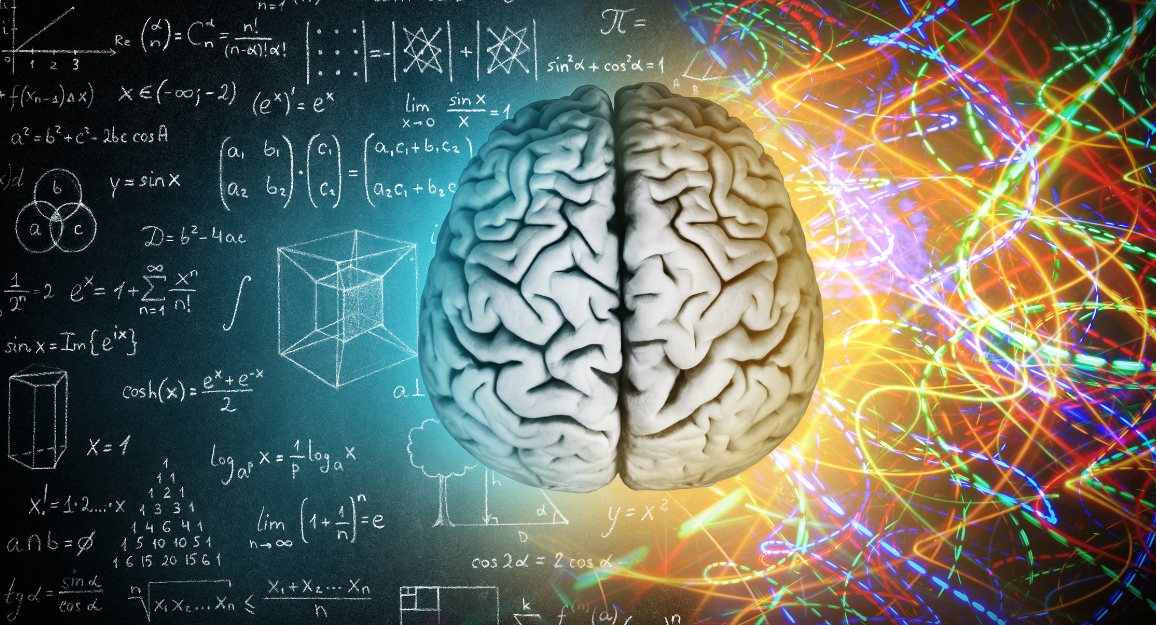 The Analogy of the Company Brain